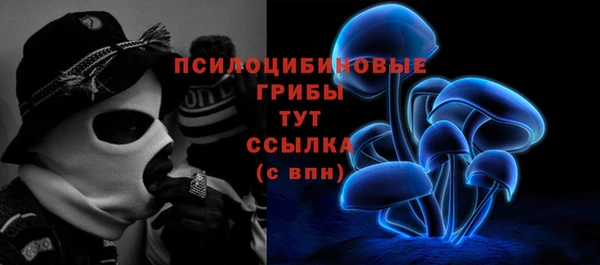 ешки Верхний Тагил